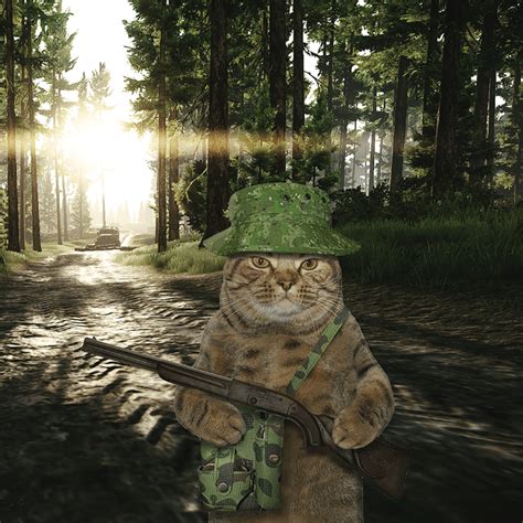tarkov cat